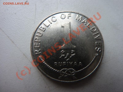 Мальдивы 1 руфия 1996 г. до 18.09.10 в 22-00 - P1030823_picnik