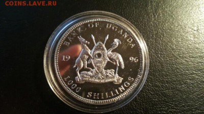 Прошу помощи в определении типов - 20151208_212459
