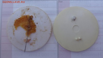 Знаки гербы  по фиксу   до 15 го в 22-00 мск - 15.9.15 ллллл 014.JPG