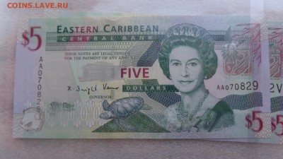 Восточные Карибы 5 $  2008 г UNC  до 14.12  в 21-10 мсК - ссс 25.09.15 г8 аааа 088.JPG