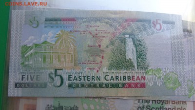 Восточные Карибы 5 $  2008 г UNC  до 14.12  в 21-10 мсК - ссс 25.09.15 г8 аааа 091.JPG