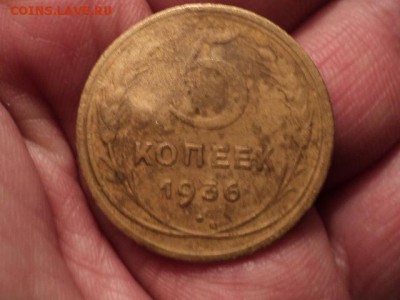 нечастые советы до 12.12.15 в 22.00 - DSC01572.JPG