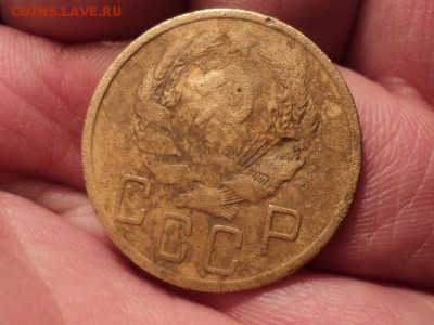 нечастые советы до 12.12.15 в 22.00 - DSC01571.JPG