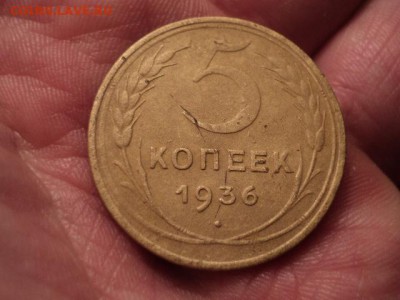 нечастые советы до 12.12.15 в 22.00 - DSC01568.JPG
