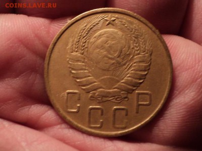 нечастые советы до 12.12.15 в 22.00 - DSC01586.JPG