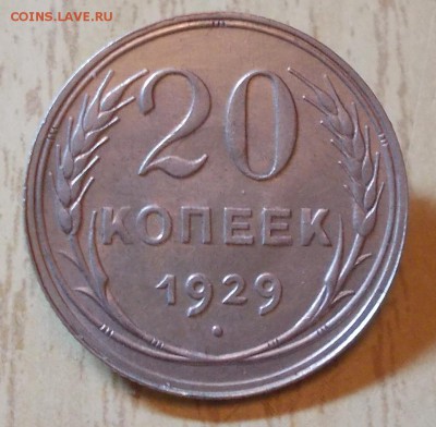 20 копеек 1929  БЛЕСК    до 15.12.2015 в 22-00 мск - DSCN1946