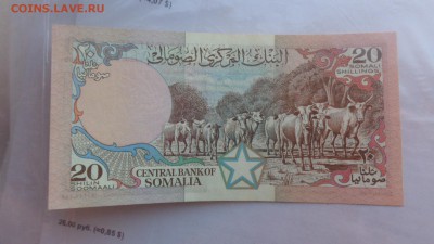 СОМАЛИ 20 шиллингов 1989 г UNC  до 16.12  в 21-15 мсК - бб  09.12.2015 ооо . о 121.JPG