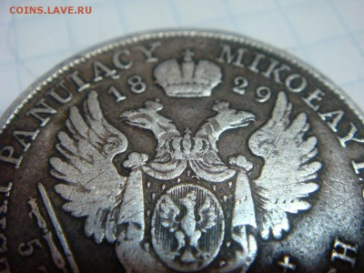 5 злотых 1829 г. FH. Для Польши (Николай I) - DSC02768.JPG