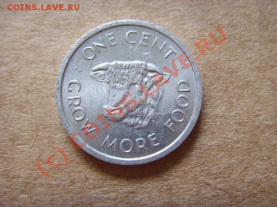Сейшелы 1 цент 1972 Корова али Бык до 21.09 в 21.00 М - LPIC8085.JPG