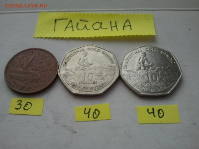 ФИКС: Гайана, низкий, все на фото - 2015-12-10 10.45.06