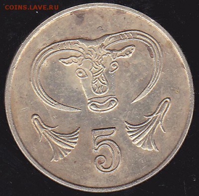 5 центов 1992 Кипр до 13.12 в 22.00 - IMG_0011