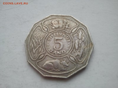 Танзания – 5 шиллингов, 1972 год, Экзотика, крупная монета - 2015-12-11 09.36.01
