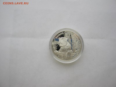 500 тенге Балхашский тигр серебро - IMG_2461[1].JPG