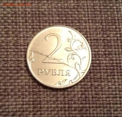 Результат переборки 28 мешков солянки на браки - image