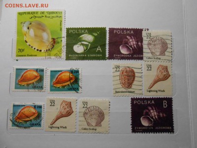 Подводный мир, 33 марки, до 18.12.2015 - DSCN2413.JPG