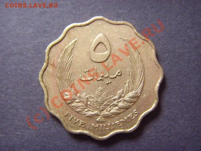 Ливия 5 миллим 1965  до 22.09 в 21.00 М - LPIC8139.JPG