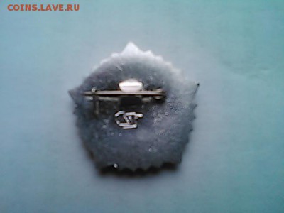 гто 5 ст.серебристый. - IMG_20151203_144321