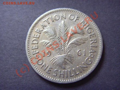 Нигерия 1 шиллинг 1961  до 22.09 в 21.00 М - LPIC8214.JPG