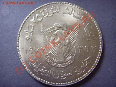 Судан 50 гирш 1975  Буйволы   до 22.09 в 21.00 М - LPIC8217.JPG