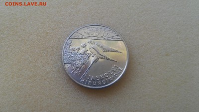 Польша 20000 зл. - Ласточки до 17.12.2015!!! - 20150826_110529