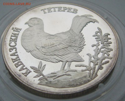 1 РУБЛЬ 1995 Кавказский тетерев СТАРТ 200 р. - P1330518.JPG