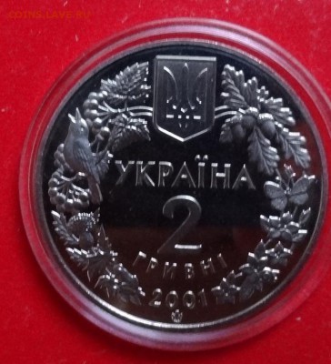 Украина 1999 Флора - Модрина польская до 16.12.2015г 22-00 - DSC07615.JPG