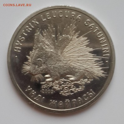 Казахстан, 50 тенге 2009, Дикобраз, до 18.12.15 - дикобраз_рев