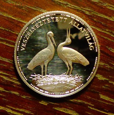 ВЕНГРИЯ - 200ф АИСТЫ до 20.12, 22.00 - Венгрия 200ф аисты