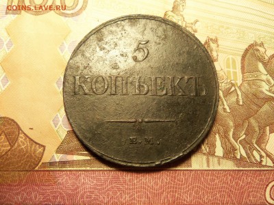 5 копеек 1834 года ЕМ-ФХ. - 100_3199.JPG