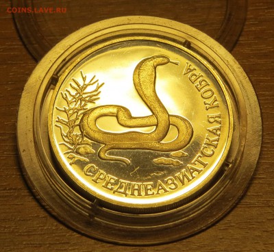 1 руб. Среднеазиатская кобра до 17.12.15. - IMG_2800.JPG