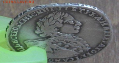 Полтина горностай - 1