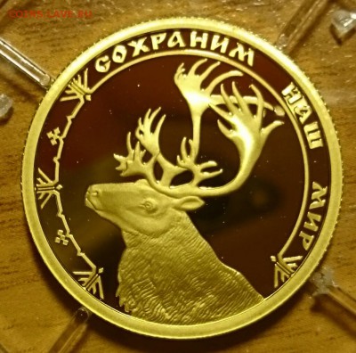 50р золото Оценка - _20151215_154535.JPG