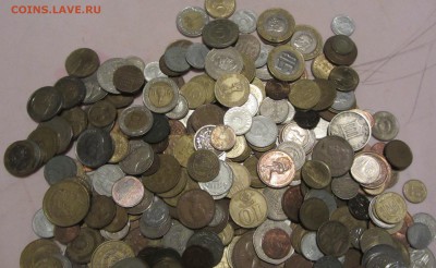 Кучка иностранщины. Предварительный совет - IMG_2084.JPG