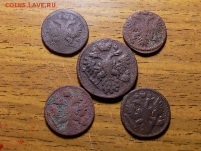 лот ДЕНЬГА и 4 ПОЛУШКИ 1738Г.до 18.12.15г - RSCN1776.JPG