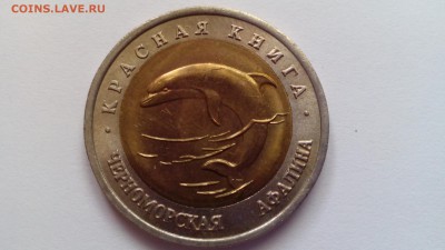 Красная книга 50 рублей 1993 Афалина до 20.12.2015 в 22.30 - IMG_20151216_112547
