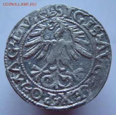 полугрош 1561 г. отличный (короткий) до 22-00, 19.12.2015 - DSC09408.JPG