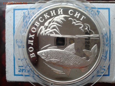 1 рубль 2005 г волховский сиг - 20151217_085334