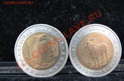КРАСНАЯ КНИГА 1991г до 22.09.2010г. 22-00мск - 687.JPG