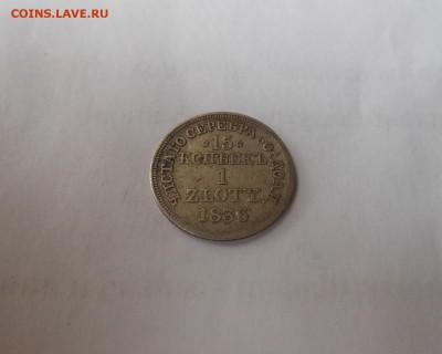 19.12.15 22:00 - 1 злота.JPG2.JPG