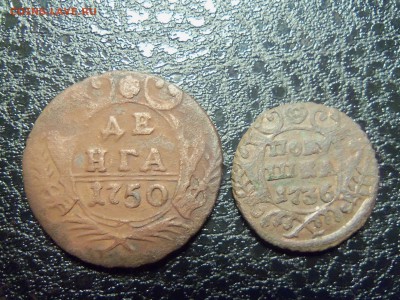 Лот :3 полушки 3 денги Анны - 100_3682.JPG