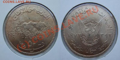 50 гирш 1972 Судан Буйволы~~~~~~~~~~~22.09 23.00мск - 50 гирш 1972 Судан