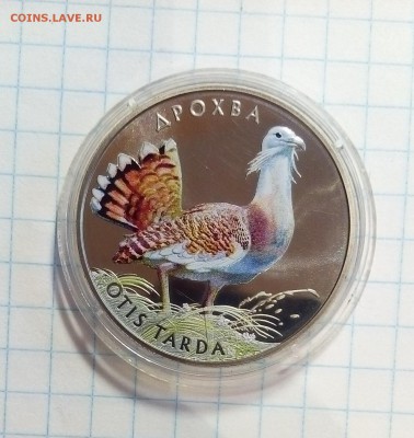 монета украины дрохва 2 гривны цветная до 20.12.15г в 22 00 - дрох.JPG