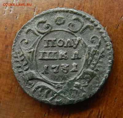 отличная полушка 1731 - не чищена Рельеф - до 20.12.2015 - DSCN9021