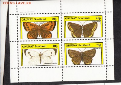 Шотландия бабочки лист - 20