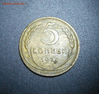 5 копеек  1929 г.  - Бодрые! Блиц!  - до 22.12.15 г. - DSCN5089.JPG