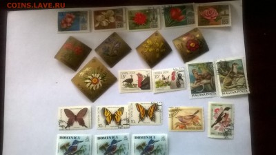 МАРКИ 2 - WP_20151219_11_53_25_Pro