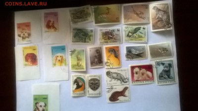 МАРКИ 2 - WP_20151219_11_58_32_Pro