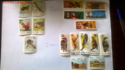 МАРКИ 2 - WP_20151219_12_01_13_Pro