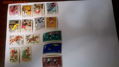 МАРКИ 4 - WP_20151219_16_39_12_Pro