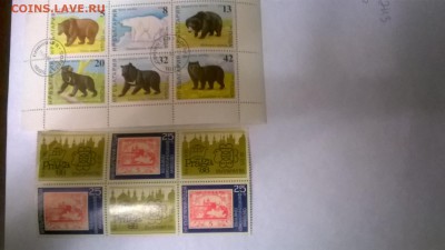 МАРКИ 4 - WP_20151219_16_49_11_Pro